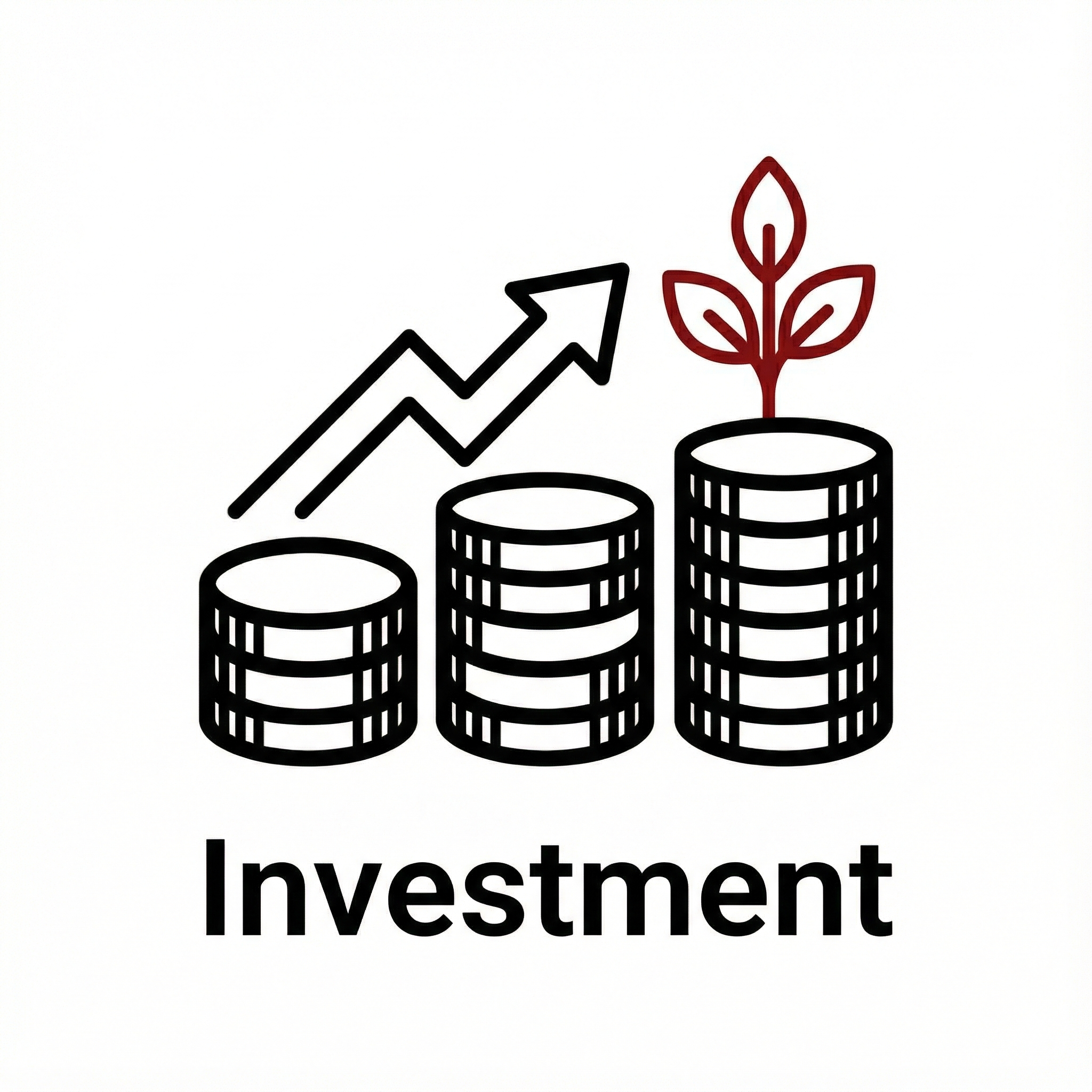 Investment